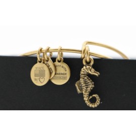 ALEX AND ANI SALE NEW ALEX AND ANI SEAHORSE BANGLE BANGLE RAFAELIAN GOLD w/ tag, box, & card