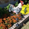 HGC 48 in. Metal Weather Vane for Garden Decor Farmhouse