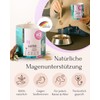 FAVLY Gastro Powder Gastro Gastro Intestinal Flora for Dogs 250