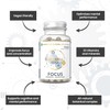 Edge Focus Formula Nootropic supplements and Multivitamin, Memory Booster helps
