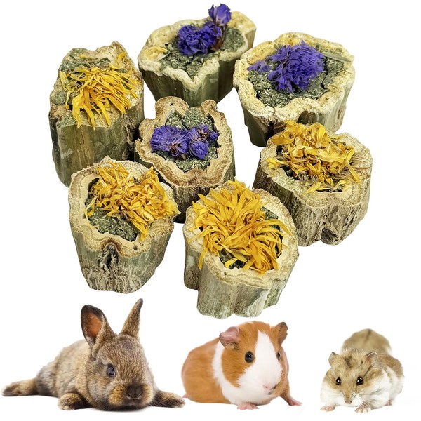 BNOSDM Hamster Chew Treats Chinchilla Natural Petal Snacks Rabbit Papaya