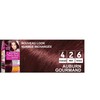 L'Oréal Paris Casting Creme Gloss Hair Colour Tone on Tone,