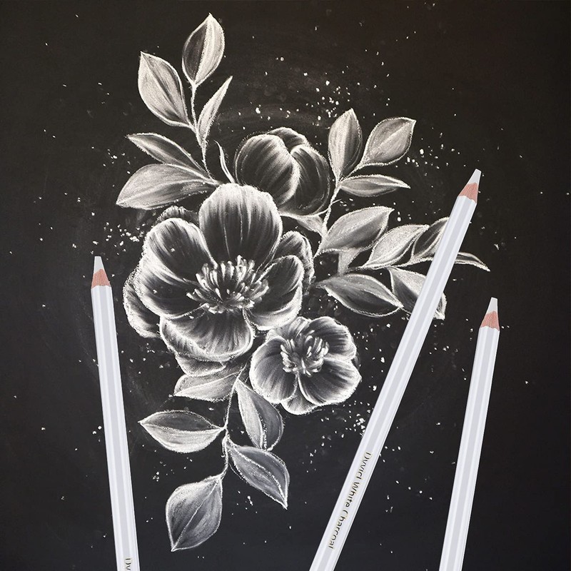 Dyvicl White Charcoal Pencils Drawing Set, 6 Pcs Sketch Highlight