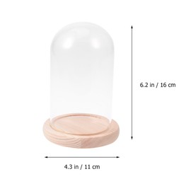 Garneck Glass Rose Glass Dome Cloche with Wooden Base - Antique Bell Jar Display Dome for Plants, Succulents, Fairy Lights, Photos, Medals, Decorative Fill, Display Case