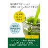 【 国産 モリンガ 100% 】モリンガ フルーツ青汁 青汁 乳酸菌 粉末 酵素
