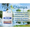 Blue Lake and Pond Dye (4 Gallon Value Pack)