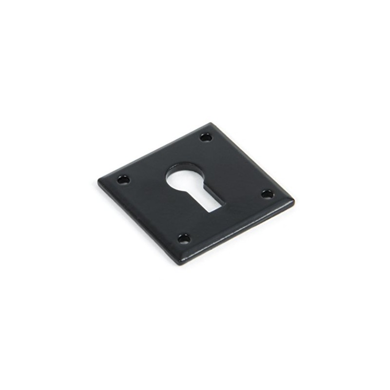 From The Anvil Black Avon Escutcheon