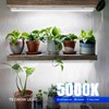 Barrina Barrina T5 Grow Lights for Indoor Plants Full Spectrum,