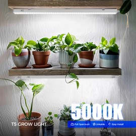 Barrina Barrina T5 Grow Lights for Indoor Plants Full Spectrum, 2FT 40W (4 X 10W) Indoor Plant Light with Separate Switch, Linkable Grow Lamp, Indoor Plant Lights for Growth with White Cover, 5000K, 4 Packs