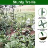 Garden Arch Cucumber Trellis for Raised Bed, U-Shape Garden Trellis