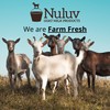Nuluv Goat Milk Body Butter Long-Lasting Moisture Soothing for Dry