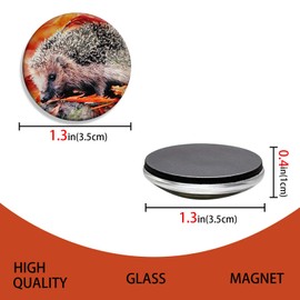 CAIRIAC Refrigerator Magnets, Acrylic Whiteboard Magnets, 10 Pack Hedgehog Fridge Magnets, Fridge Sticker Magnetic Photo Holders for Kitchen Office Classroom
