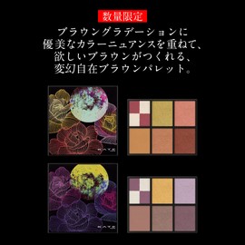 Kate EX-2+Kate Brown Layer Palette with Pouch