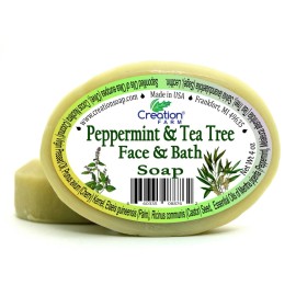 Tea Tree Peppermint & Tea Tree Soap  Teenage Complexion Special Wash, Soothing, Clearing