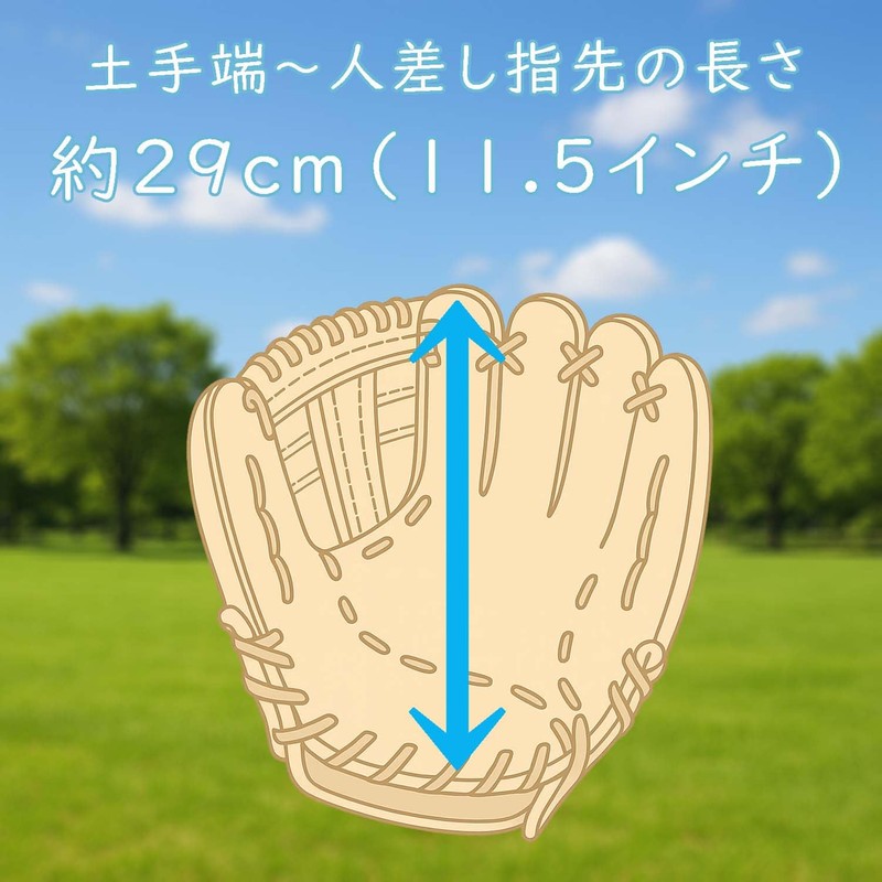 Zett BDG2012V Catchball Gloves, For Beginners, Shock Absorbing Pad Included,