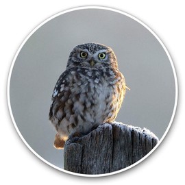 2 x 15cm Vinyl Stickers - Beautiful Owl Winter Snow Bird Decals 8890