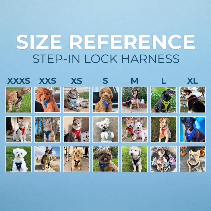 Best Pet Supplies Voyager Step-in Lock Pet Harness – All