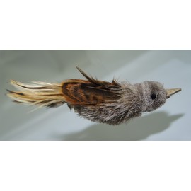 Big Sky Cats House Finch Bird Refill/Attachment- Fits Wildcat and Popular Bird and Mouse Type Wands/Poles