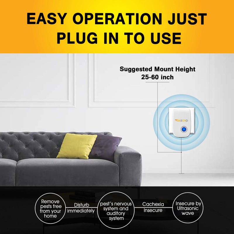 Constitution Quest Game