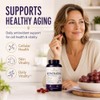 Wonder Family Suplemento de Resveratrol 500 Mg