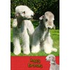 Bedlington Terrier Dog Birthday Card