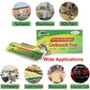 Cockroach Trap Roach Killer Indoor Home Non-Toxic Sticky Trap Bug