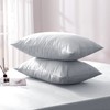 Hafaa Silver Pillowcases 2 Pack Brushed Microfiber Plain Pillow Cases