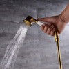 Nostalgia Gold Shower Head Hand Showers with Shower Hoses Brass