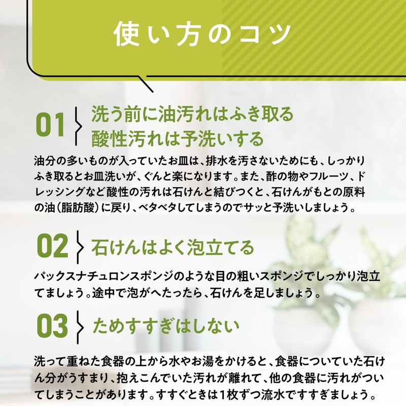 Pax Naturon Kitchen Soap (Liquid Soap for Dishwashing), 16.9 fl