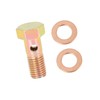 A ABSOPRO M8x1.0mm Metric Thread Banjo Bolts Brake Fitting Adapter