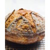 Heritage Sour San Francisco Sourdough Style Starter Tasty Dehydrated Active