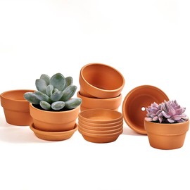 Small Shallow Terracotta Pot for Succulent - 6 Pcs Clay Planter Pots with Drainage Hole and Saucer, 3.5 Inch Shallow Plant Pottery Pots for Cactus Succulent and Other Indoor Outdoor Plants