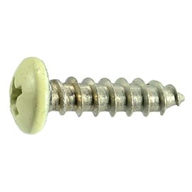 10 x 3/4 Shutter & Storm Window Screw (30 Pieces)