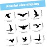 iplusmile 9Sheets Removable Bird Strike Window Decals Collision Static Stickers