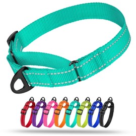 Collardirect Reflective Martingale Dog Collar Nylon Training Collars for Small Medium Large Dogs Puppy Pink Orange Green (M, Neck Size 13"-18", Mint Green)