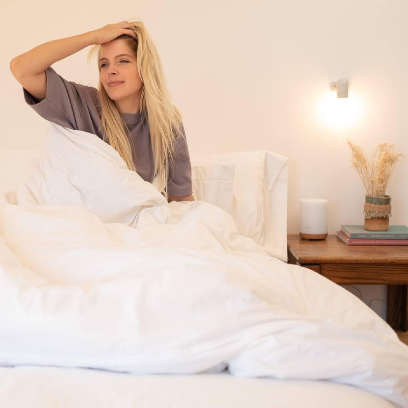 FluffCo Down Alternative Comforter/Hotel Comforter (Queen Comforter, 5-Star Hotel Quality