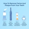 IZKUT Plaque & Tartar Remover Toothpaste for Teeth: Removes Plaque