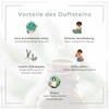 LAVISA Goloka Duft?l - Naturdfte fr Aromatherapie, Raumduft, Diffusor, Duftlampe