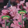 Bird Feeder Pole | Garden Decorations Feeder Poles,Squirrel Proof Outdoor