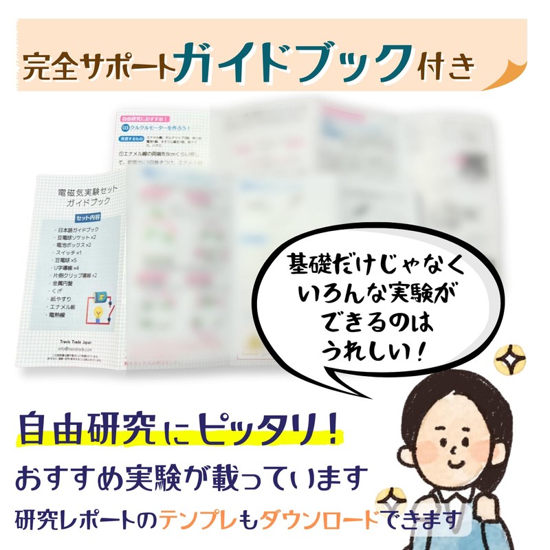 Apricity Electrical Circuit Experiment Kit, Electrical Experiments, Basics, Series Circuits,