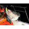 Gamakatsu TGW Treble Hook, Rose, Twin, SP-MH, Silver