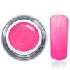 RM Beautynails Colour Gel Pink Mermaid UV LED Gel Nail