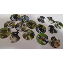 Unbranded Pre Cut One Inch Bottle Cap Images Schnauzer Free Shipping - photo, 15 images