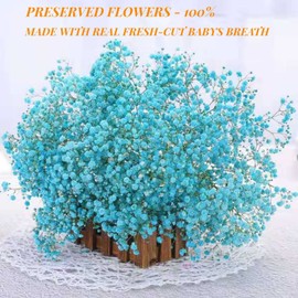 Dried Babys Breath Flowers Bouquet-17 Inch 2500+ Blue Dry Flowers, Natural Gypsophila Branches for Wedding, Table Vase Decor, DIY Wreath Floral, Home Office Party Garden Decoration (3oz)