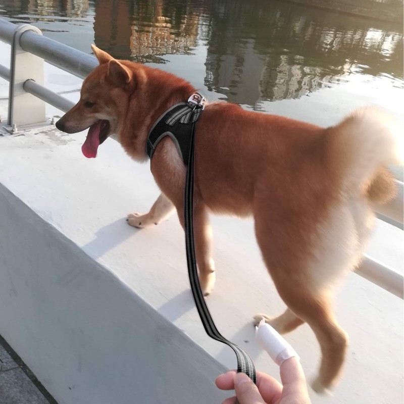 YIMEIS Dog Harness and Leash Set, No Pull Soft Mesh
