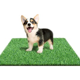 STARROAD-TIM 24 x 20 inches Artificial Grass Turf for Dogs, Fake Grass Potty Training Mat for Dogs, Puppy Turf Pee Pad on Indoor and Outdoor