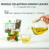 Celastrus Hindsii Leaf Tea - Re-Steep Pure Whole Leaves Vacuum