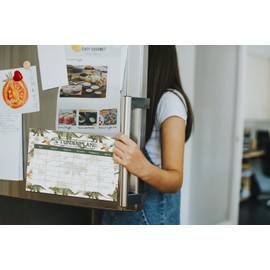 Friendly Fox Dinosaur Magnetic Timetable, Children's Timetable Wipe-Clean, 1st Class Boys, Girls, Children's Weekly Planner Magnetic with Foil Pen