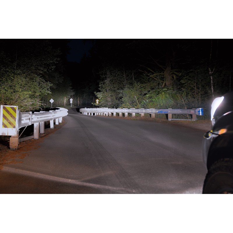 PIAA Halogen Bulb, model: HW301