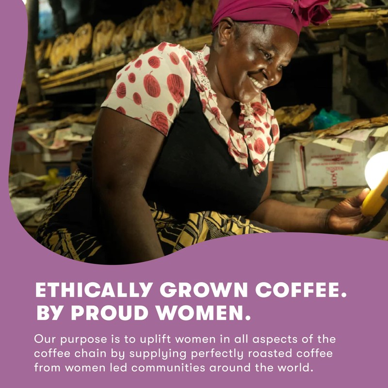 The Little Coffee Company 100% Arabica Bean, Medium Roast, 250g